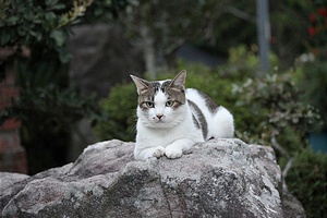 こんな時も必要なんだよ、ネ。