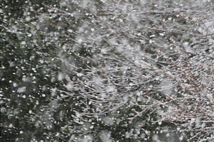 吹き荒れる雪