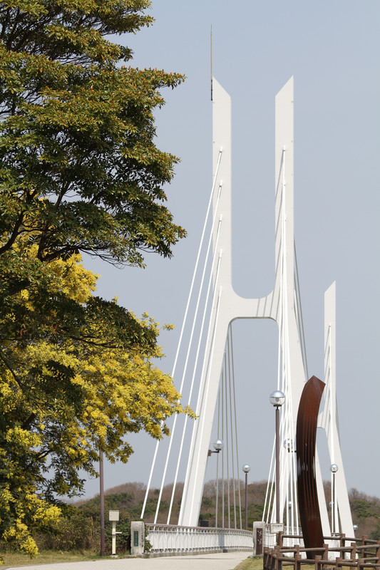 「ミモザ」白鳥大橋