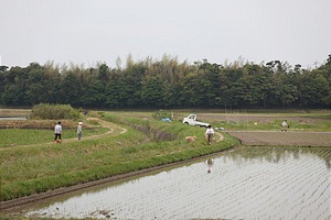 いつもの散歩道も気持ち良くて、賑やか……。