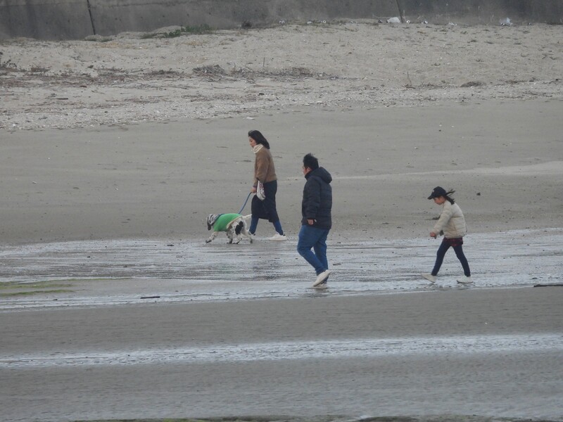 ○（散歩する家族と犬）